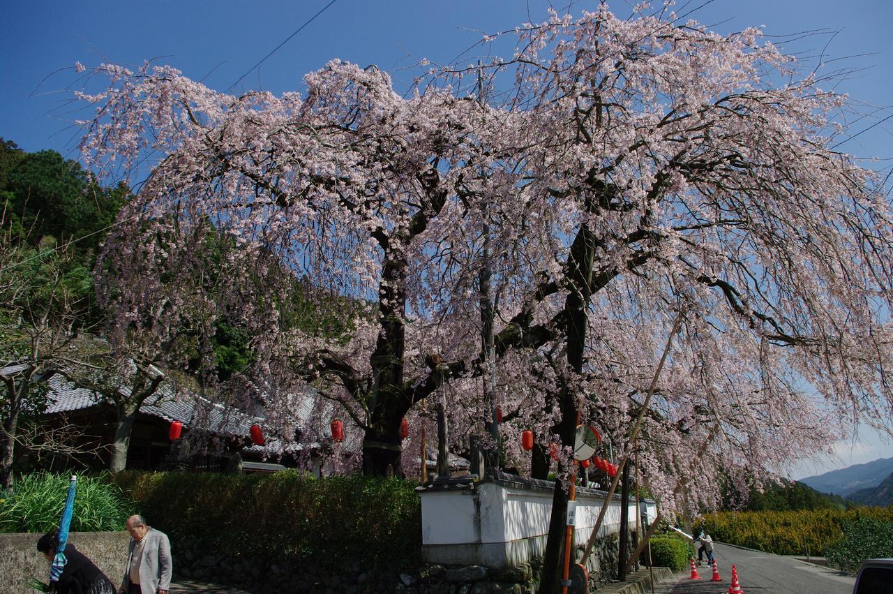 Kamiyama Onsen Hotel Shikinosato & Iyashinoyu Tokushima Buitenkant foto